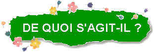 de quoi s'agit-il ?